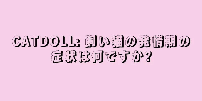 CATDOLL: 飼い猫の発情期の症状は何ですか?