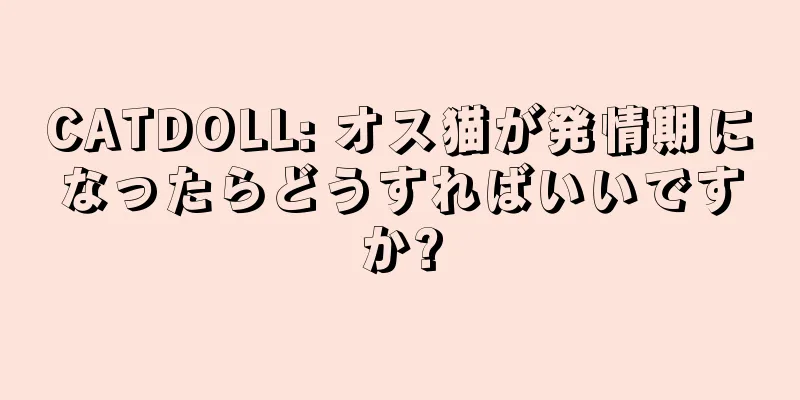CATDOLL: オス猫が発情期になったらどうすればいいですか?
