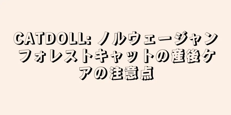CATDOLL: ノルウェージャンフォレストキャットの産後ケアの注意点