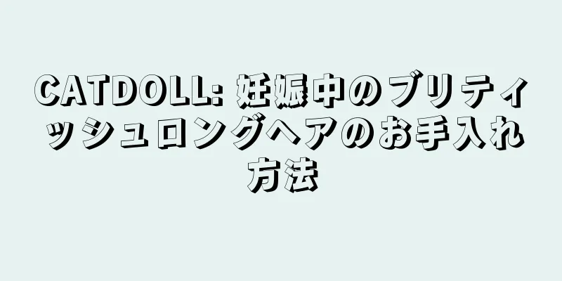 CATDOLL: 妊娠中のブリティッシュロングヘアのお手入れ方法