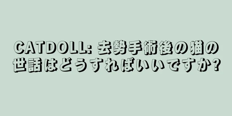 CATDOLL: 去勢手術後の猫の世話はどうすればいいですか?