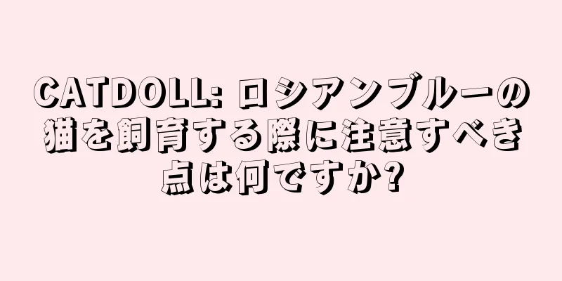 CATDOLL: ロシアンブルーの猫を飼育する際に注意すべき点は何ですか?