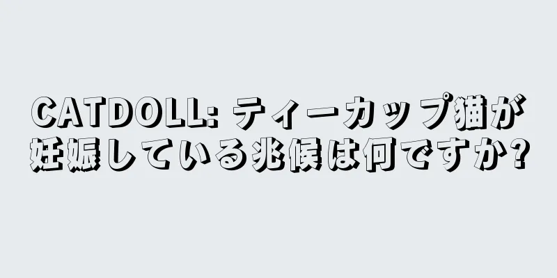 CATDOLL: ティーカップ猫が妊娠している兆候は何ですか?