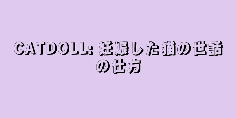 CATDOLL: 妊娠した猫の世話の仕方