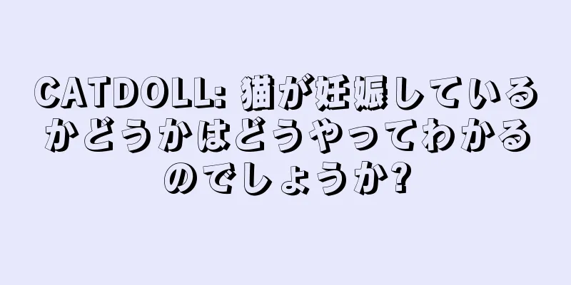 CATDOLL: 猫が妊娠しているかどうかはどうやってわかるのでしょうか?