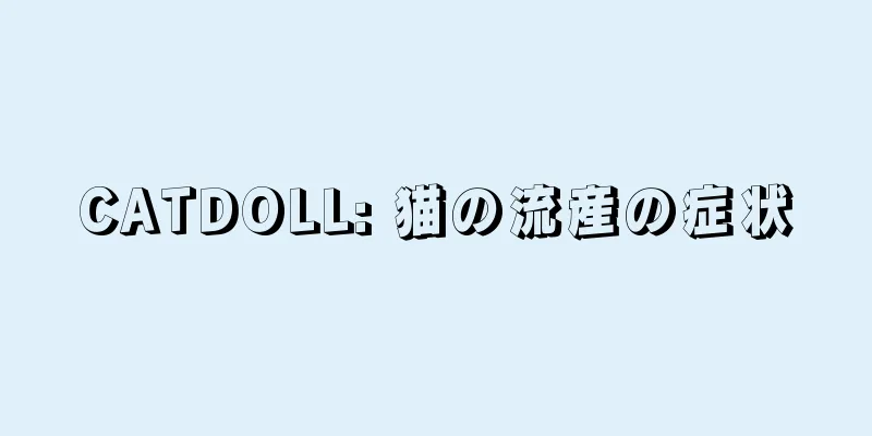 CATDOLL: 猫の流産の症状