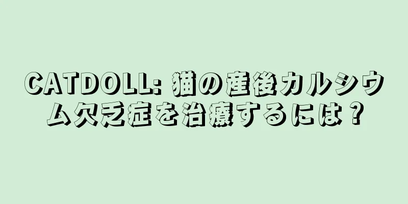 CATDOLL: 猫の産後カルシウム欠乏症を治療するには？