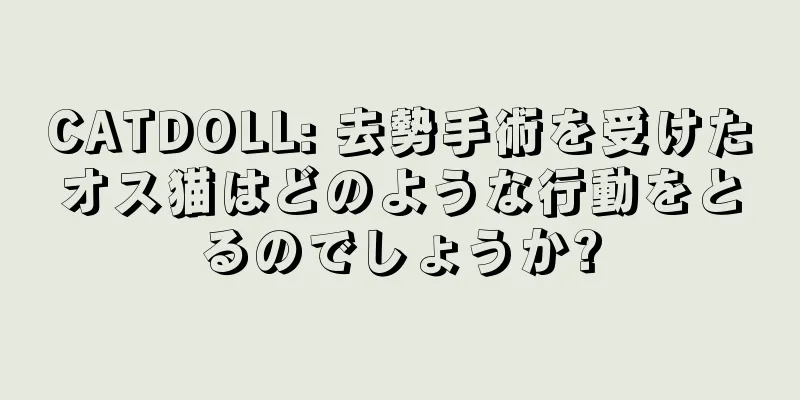 CATDOLL: 去勢手術を受けたオス猫はどのような行動をとるのでしょうか?
