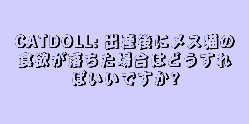 CATDOLL: 出産後にメス猫の食欲が落ちた場合はどうすればいいですか?