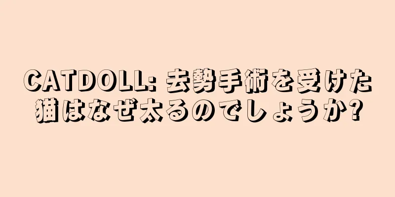CATDOLL: 去勢手術を受けた猫はなぜ太るのでしょうか?