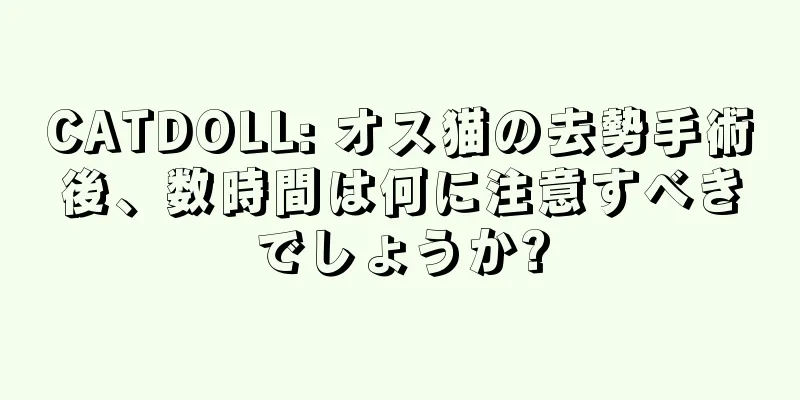 CATDOLL: オス猫の去勢手術後、数時間は何に注意すべきでしょうか?