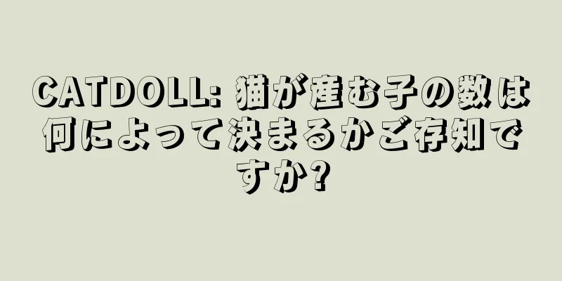 CATDOLL: 猫が産む子の数は何によって決まるかご存知ですか?