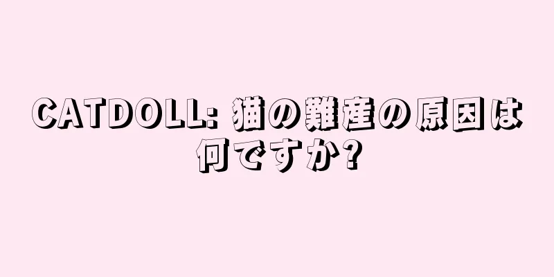 CATDOLL: 猫の難産の原因は何ですか?