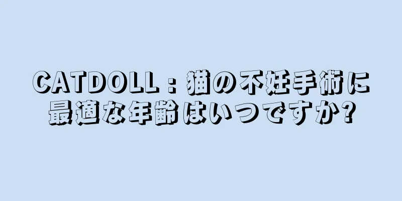 CATDOLL : 猫の不妊手術に最適な年齢はいつですか?