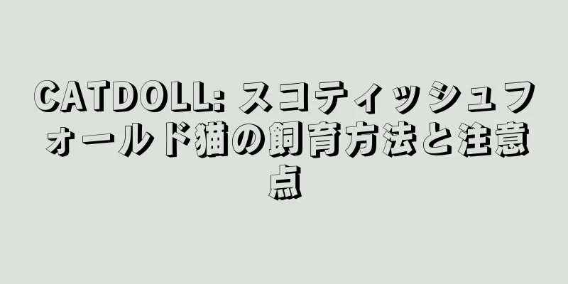 CATDOLL: スコティッシュフォールド猫の飼育方法と注意点