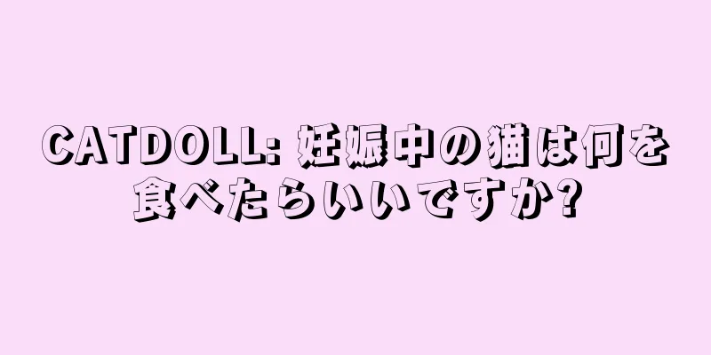 CATDOLL: 妊娠中の猫は何を食べたらいいですか?