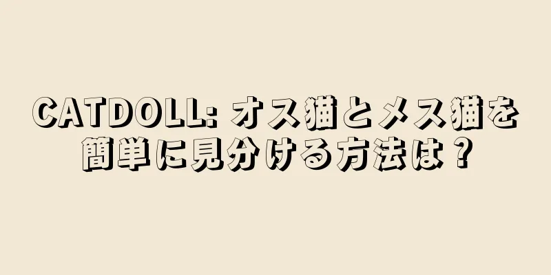 CATDOLL: オス猫とメス猫を簡単に見分ける方法は？