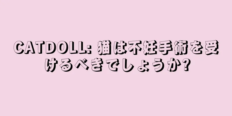 CATDOLL: 猫は不妊手術を受けるべきでしょうか?