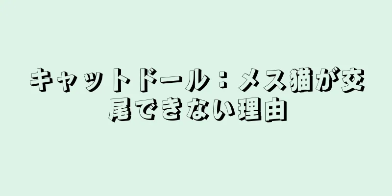 キャットドール：メス猫が交尾できない理由
