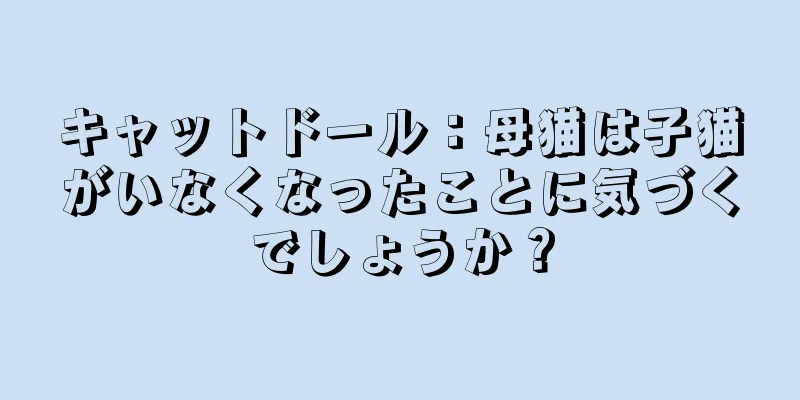 キャットドール：母猫は子猫がいなくなったことに気づくでしょうか？