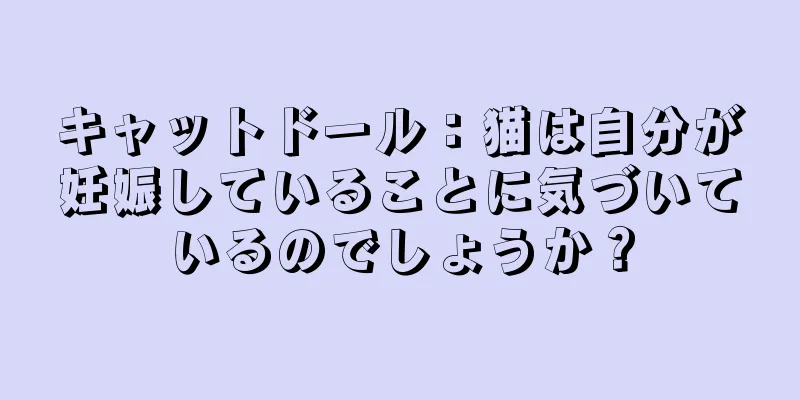 キャットドール：猫は自分が妊娠していることに気づいているのでしょうか？