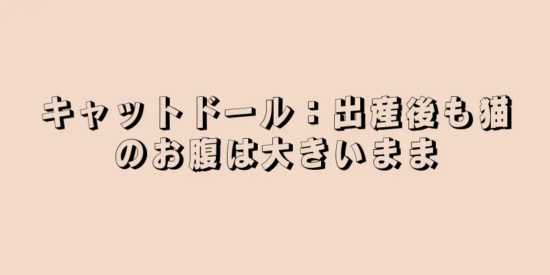 キャットドール：出産後も猫のお腹は大きいまま