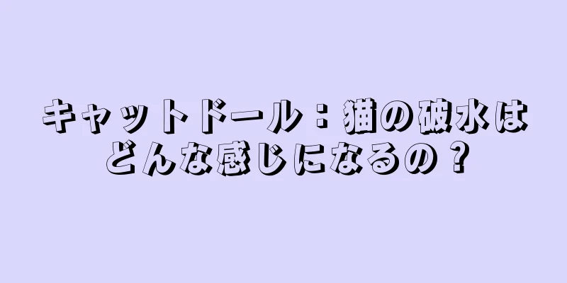 キャットドール：猫の破水はどんな感じになるの？