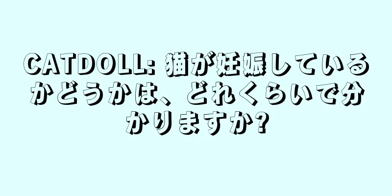 CATDOLL: 猫が妊娠しているかどうかは、どれくらいで分かりますか?