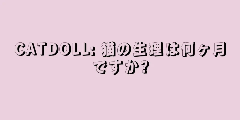 CATDOLL: 猫の生理は何ヶ月ですか?