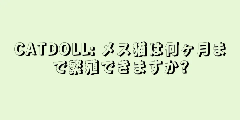 CATDOLL: メス猫は何ヶ月まで繁殖できますか?