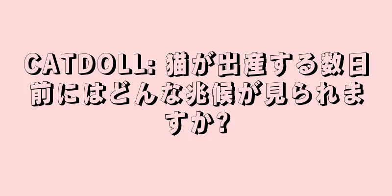 CATDOLL: 猫が出産する数日前にはどんな兆候が見られますか?