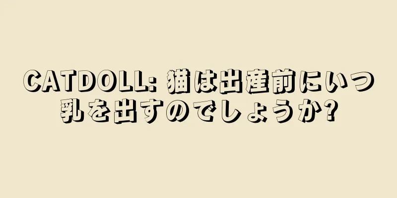 CATDOLL: 猫は出産前にいつ乳を出すのでしょうか?