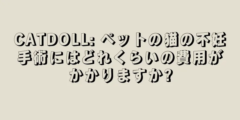 CATDOLL: ペットの猫の不妊手術にはどれくらいの費用がかかりますか?