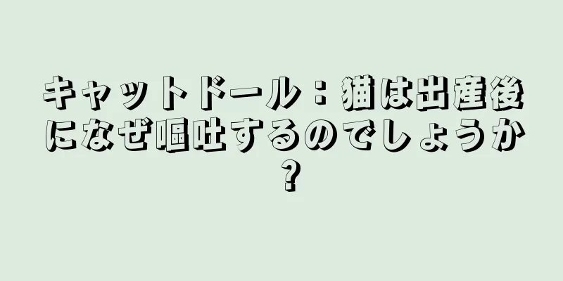 キャットドール：猫は出産後になぜ嘔吐するのでしょうか？