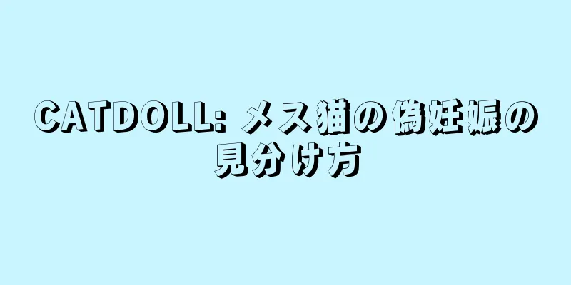 CATDOLL: メス猫の偽妊娠の見分け方