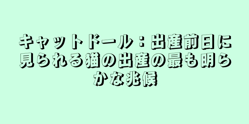 キャットドール：出産前日に見られる猫の出産の最も明らかな兆候