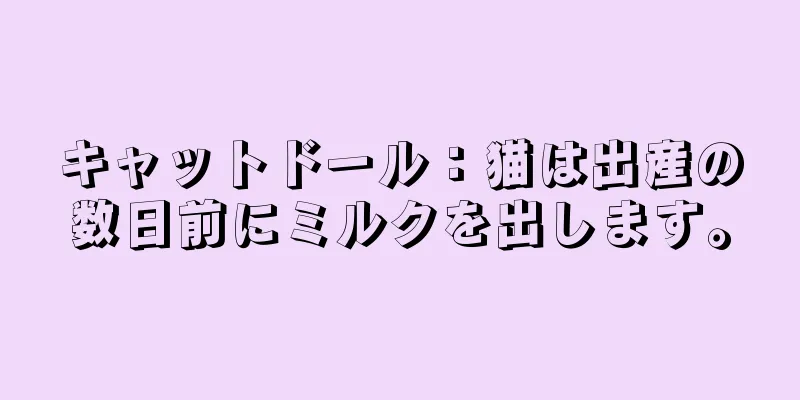 キャットドール：猫は出産の数日前にミルクを出します。