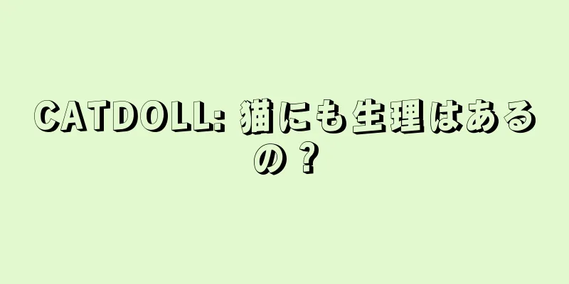 CATDOLL: 猫にも生理はあるの？