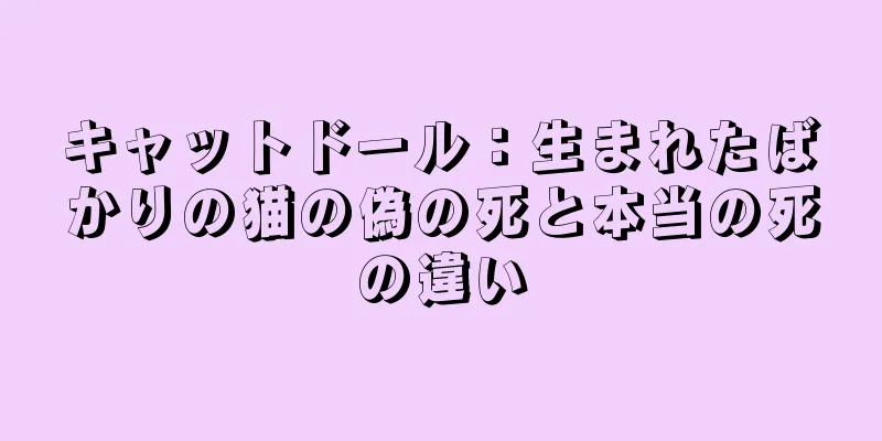 キャットドール：生まれたばかりの猫の偽の死と本当の死の違い