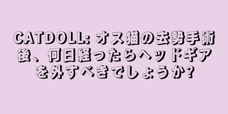 CATDOLL: オス猫の去勢手術後、何日経ったらヘッドギアを外すべきでしょうか?
