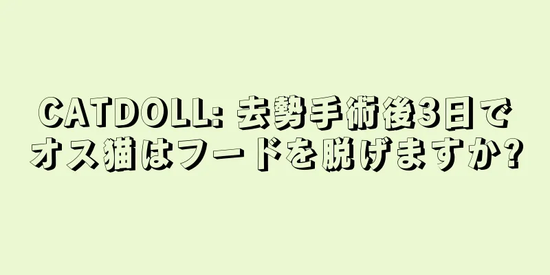 CATDOLL: 去勢手術後3日でオス猫はフードを脱げますか?