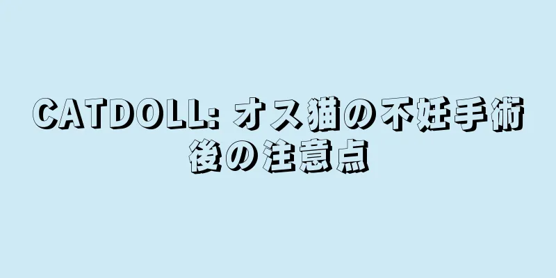 CATDOLL: オス猫の不妊手術後の注意点