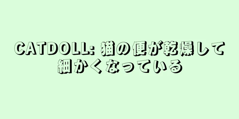 CATDOLL: 猫の便が乾燥して細かくなっている