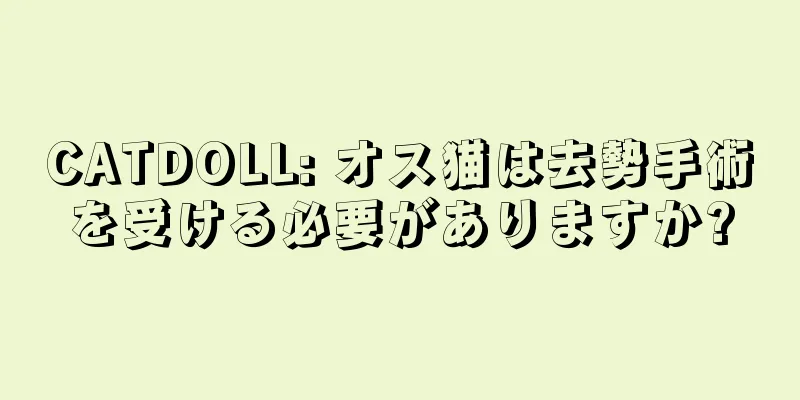 CATDOLL: オス猫は去勢手術を受ける必要がありますか?