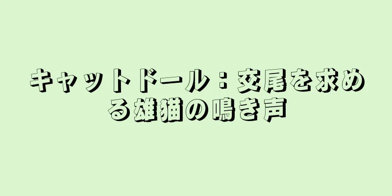 キャットドール：交尾を求める雄猫の鳴き声