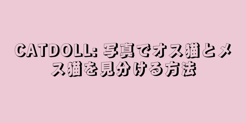 CATDOLL: 写真でオス猫とメス猫を見分ける方法