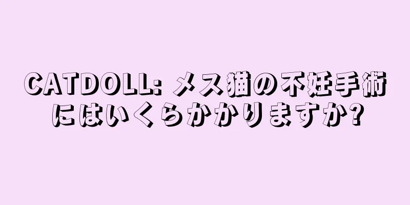 CATDOLL: メス猫の不妊手術にはいくらかかりますか?