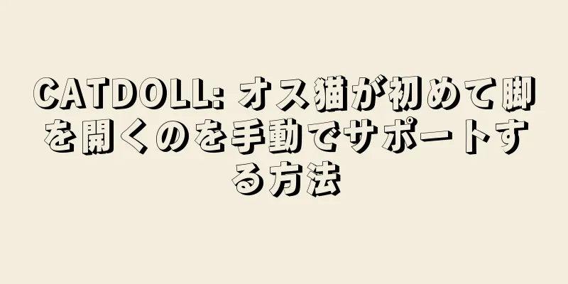 CATDOLL: オス猫が初めて脚を開くのを手動でサポートする方法