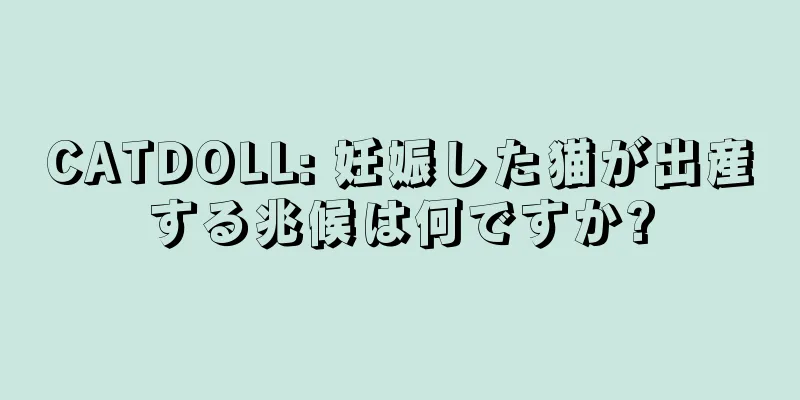 CATDOLL: 妊娠した猫が出産する兆候は何ですか?