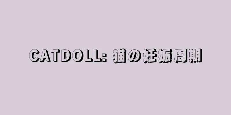 CATDOLL: 猫の妊娠周期